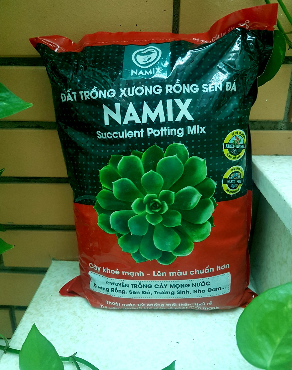 ĐẤT TRỒNG XƯƠNG RỒNG SEN ĐÁ NAMIX BAO 5dm3