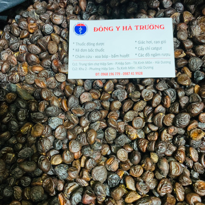 100g Hạt Dổi Rừng (Hạt Dổi Nếp Tây Bắc)