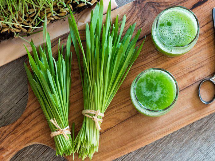 [Date 2025] BỘT MẦM LÚA MẠCH NON GRASS BARLEY NHẬT BẢN