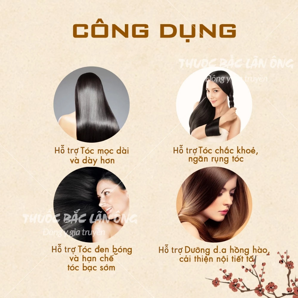 Set ngũ vị hỗ trợ dưỡng tóc dày mượt (Đậu đen, táo đỏ, dâu tằm,...)