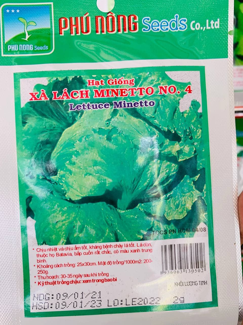 Hạt giống xà lách búp minetto chịu nhiệt năng suất, giòn, ngọt