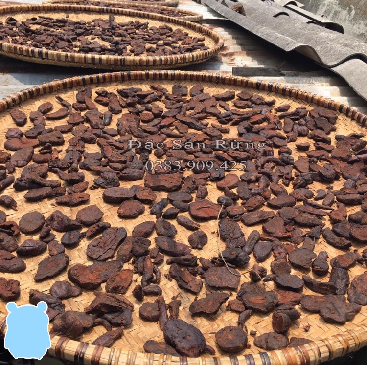 500gr  Hà Thủ Ô Đỏ Thái Lát Đã Sơ Chế Đỗ  Đen - Xanh tóc đỏ da