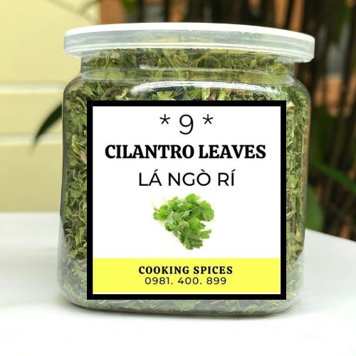 Lá Ngò Rí ( Cilantro Leaves ) lá gia vị sấy khô