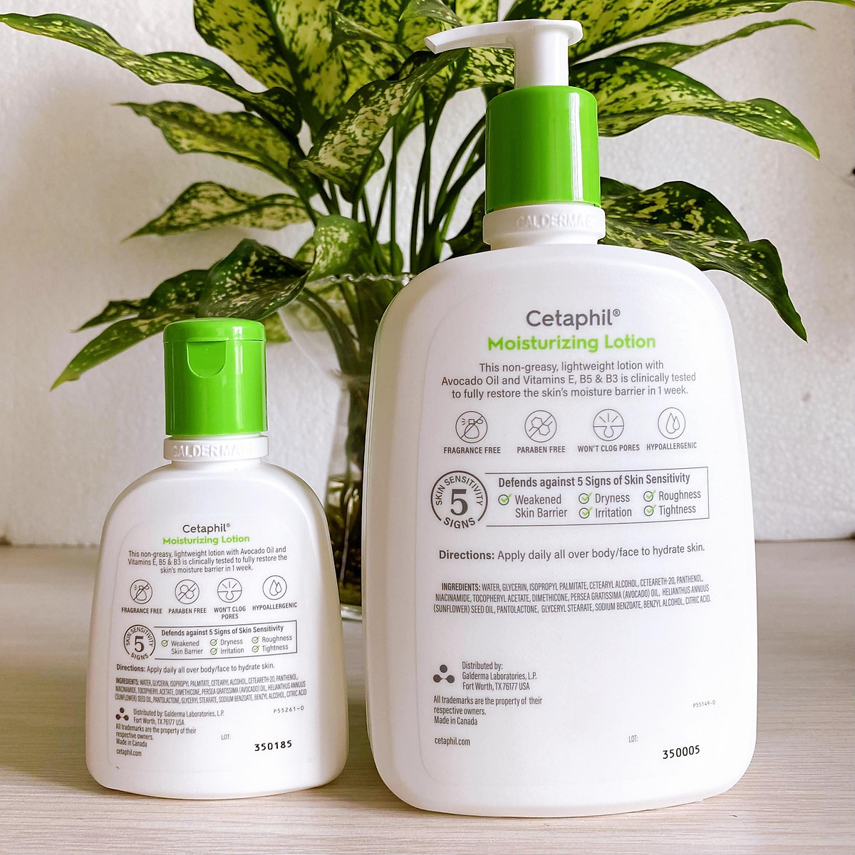 Kem dưỡng thể Cetaphil Moisturizing Lotion 591ml