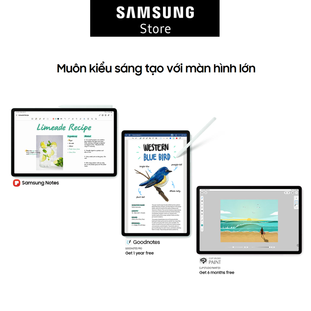 Máy tính bảng Samsung Galaxy Tab S9 FE+ (WiFi) 8GB/128G