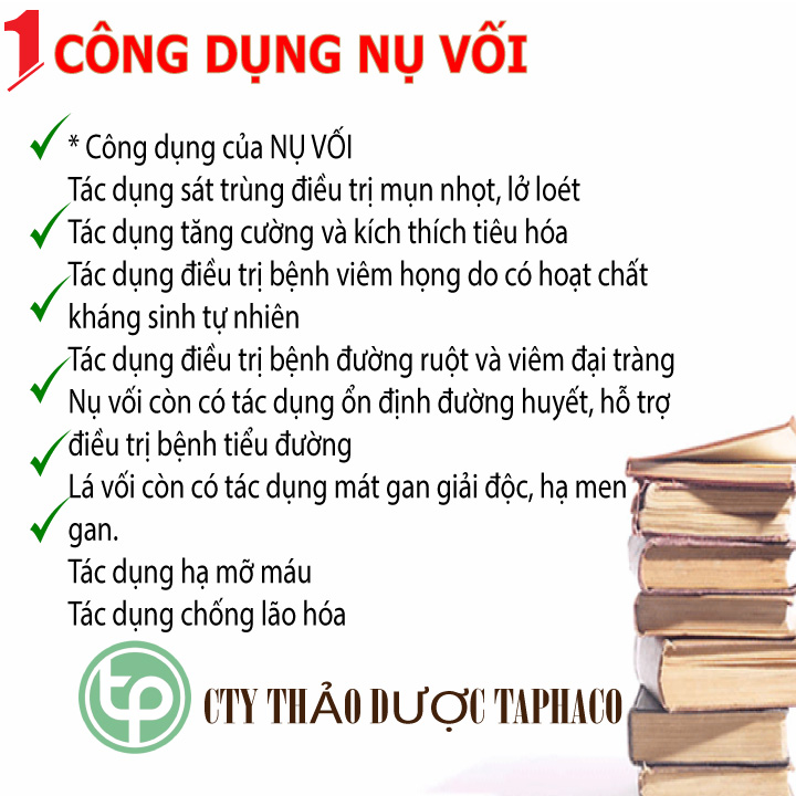Nụ Vối Tấn Phát loại 1kg