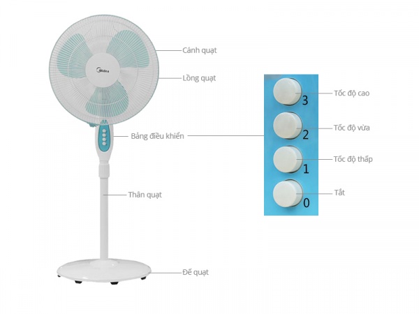 Quạt cây Midea FS40-15Q