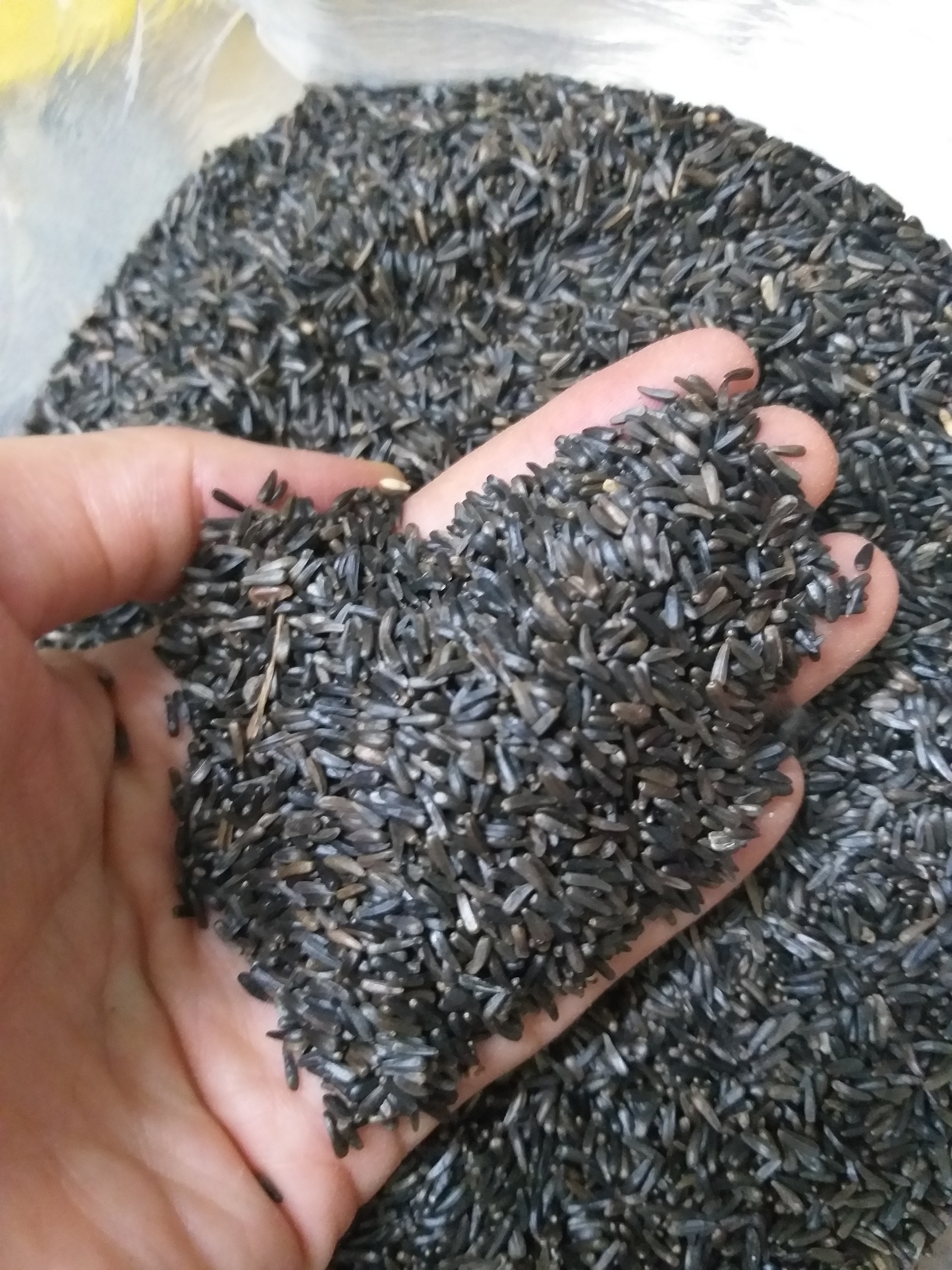 hạt Niger gói 200g