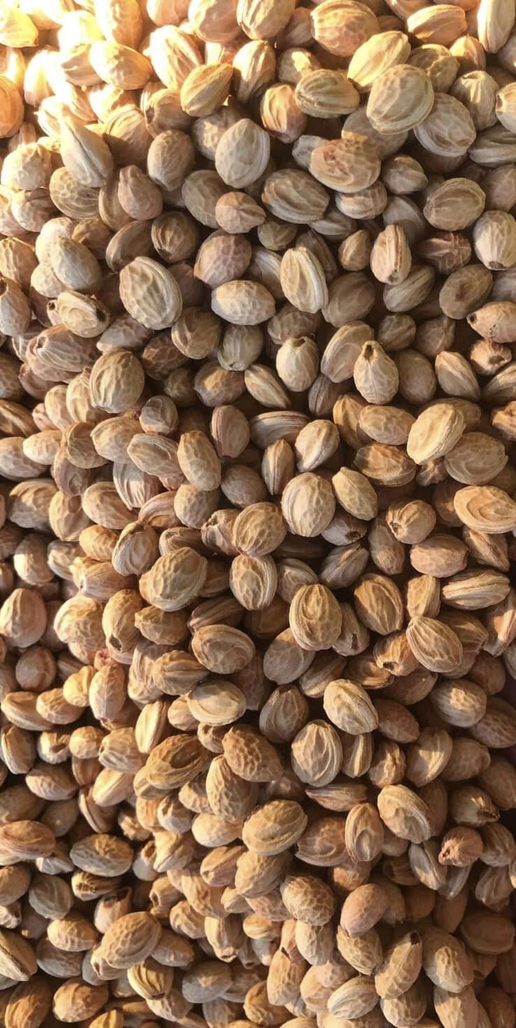 50gram hạt mai hoa đào