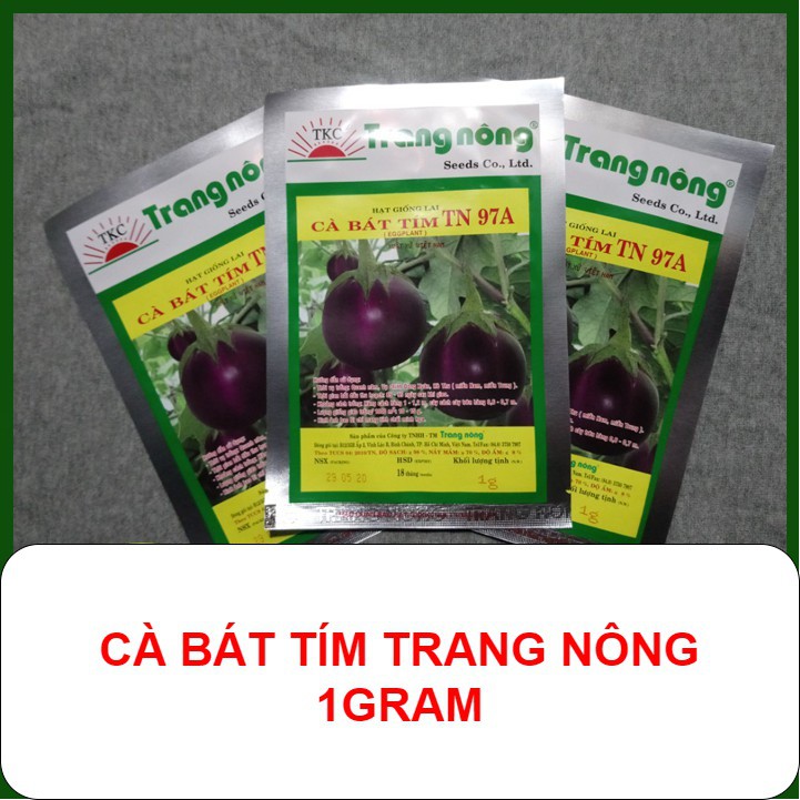 Hạt giống Cà bát tím TN 97A - 1gram