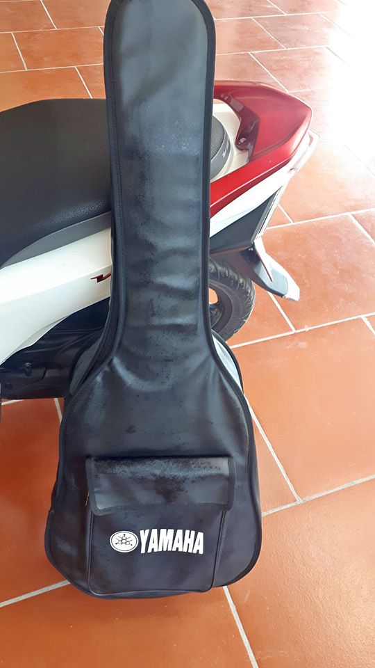bao đàn guitar