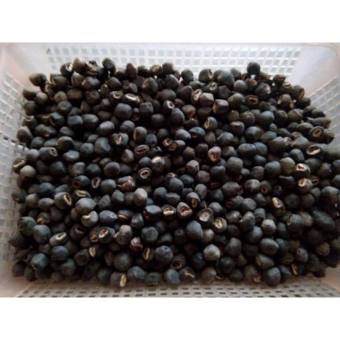 1kg Hạt Chuối Hột Rừng Cơ đơn ( Đặc sản NInh Thuận)