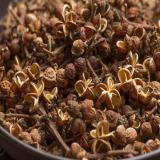 500g Hạt mắc khén gia vị nướng đặc sản vùng Tây Bắc