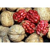 500g Quả óc chó Mỹ Đỏ Size To ( Tặng móc tách vỏ)