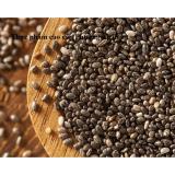 [HCM]Bộ 2 Gói Hạt Chia Absolute Organic 1kg (Nhập Úc- Mẫu Mới Tem Tím)