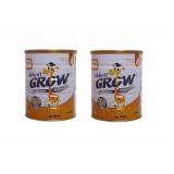 Bộ 2 sữa bột Abbott Grow 4 900g