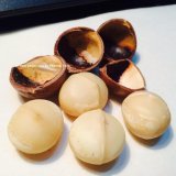 [HCM]Bộ 4 gói Hạt mắc ca Macadamia nứt vỏ 500g (nhập Úc)