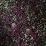 [HCM]Bột hoa hồng hữu cơ 200g