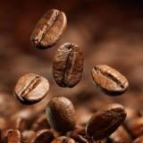 Cà phê Abrabica Cầu Đất - Sản phẩm Gốc Cafe