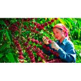 [HCM]COMBO 2 BỊCH Cà phê rang xay Highlands Coffee gói 200g
