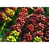 [HCM]COMBO 2 BỊCH Cà phê rang xay Highlands Coffee gói 200g