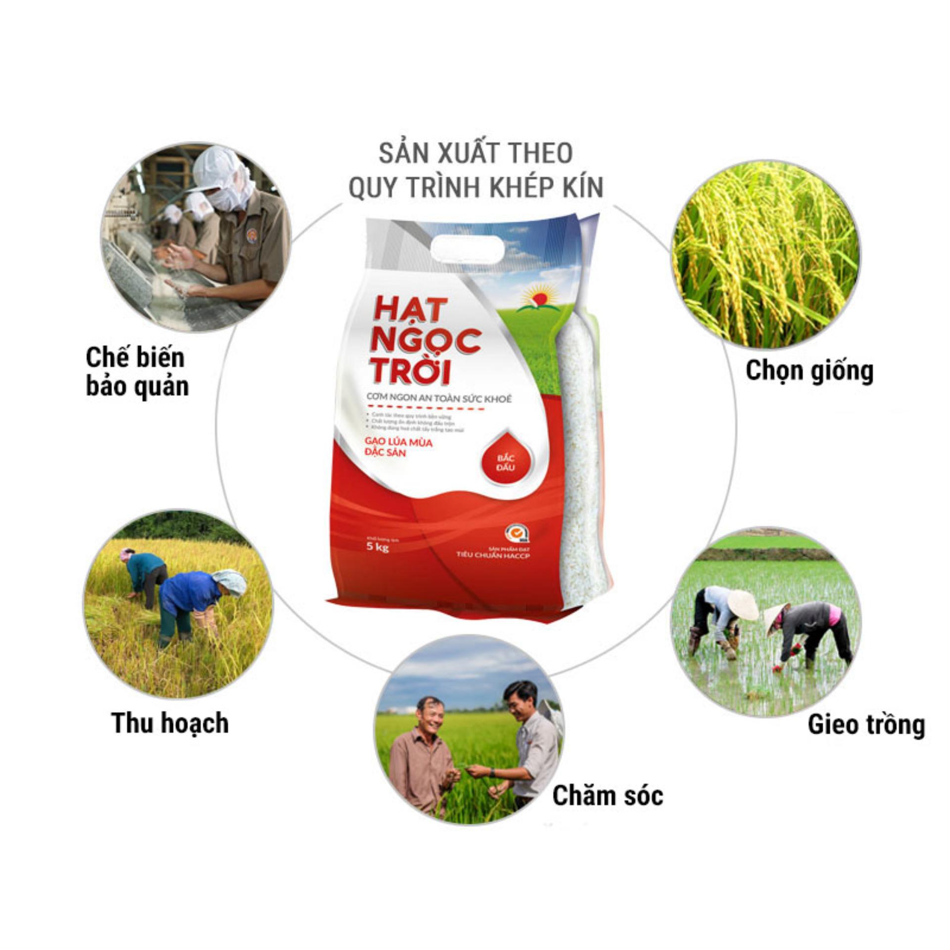 Gạo Hạt Ngọc Trời Bắc Đẩu túi 5kg