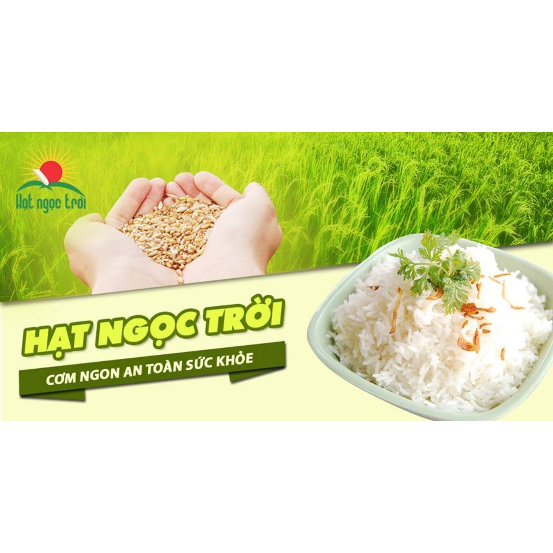 Gạo Hạt Ngọc Trời Bạch Dương Túi 5kg