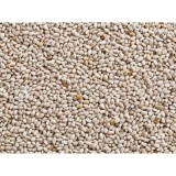 Hạt chia TRẮNG SUNFOOD ORGANIC MỸ