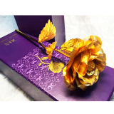 Hoa hồng mạ vàng 24K bông màu vàng (không có đế)