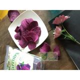 Khoai tím sấy giòn 500gr