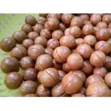 Mắc ca Á Châu nứt vỏ nhân to loại 1 (combo 2 gói-500g)