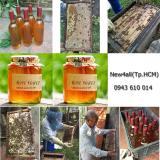 [HCM]Mật Ong Nuôi Nguyên Chất thương hiệu Ông Cương (300gram/200 ml)