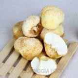 Nấm Hầu Thủ hoàng Gia 500g/túi