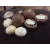 NHÂN MACCA ÚC TÁCH SẴN