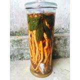 Sâm xuyên đá Hà Giang 1kg tươi