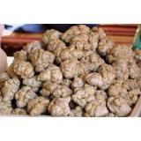 Tam thất bắc (7 củ/lạng) 500g khô