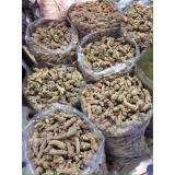 Tam thất bắc (9 củ/lạng) 500g khô