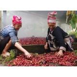 Thảo quả rừng 100g khô