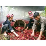 Thảo quả rừng 100g khô