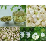 Trà  Hoa Nhài  Thảo Lộc Túi 100g