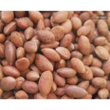 [HCM]Trái Say Rim Muối Ớt 250Gr