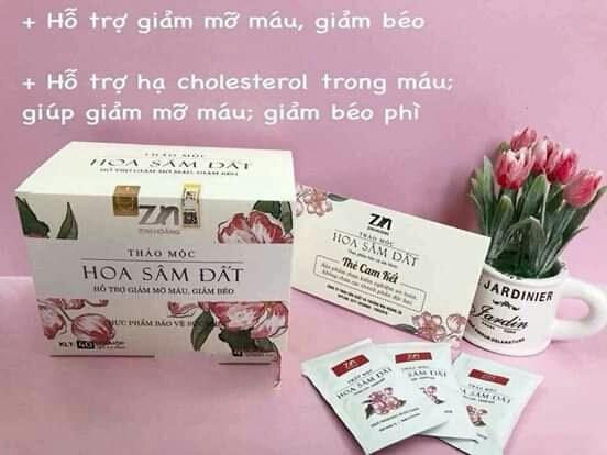 Combo 2 hộp trà Hoa Sâm Đất Zn