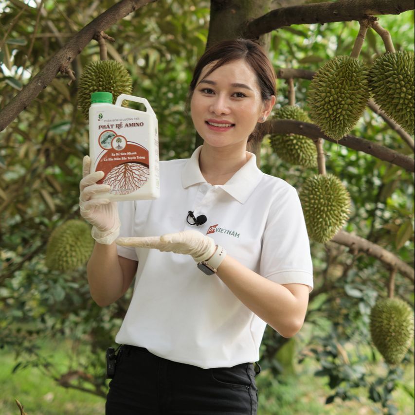 Phát rễ amino - ph việt nam - phân bón hữu cơ - dưỡng kích rễ