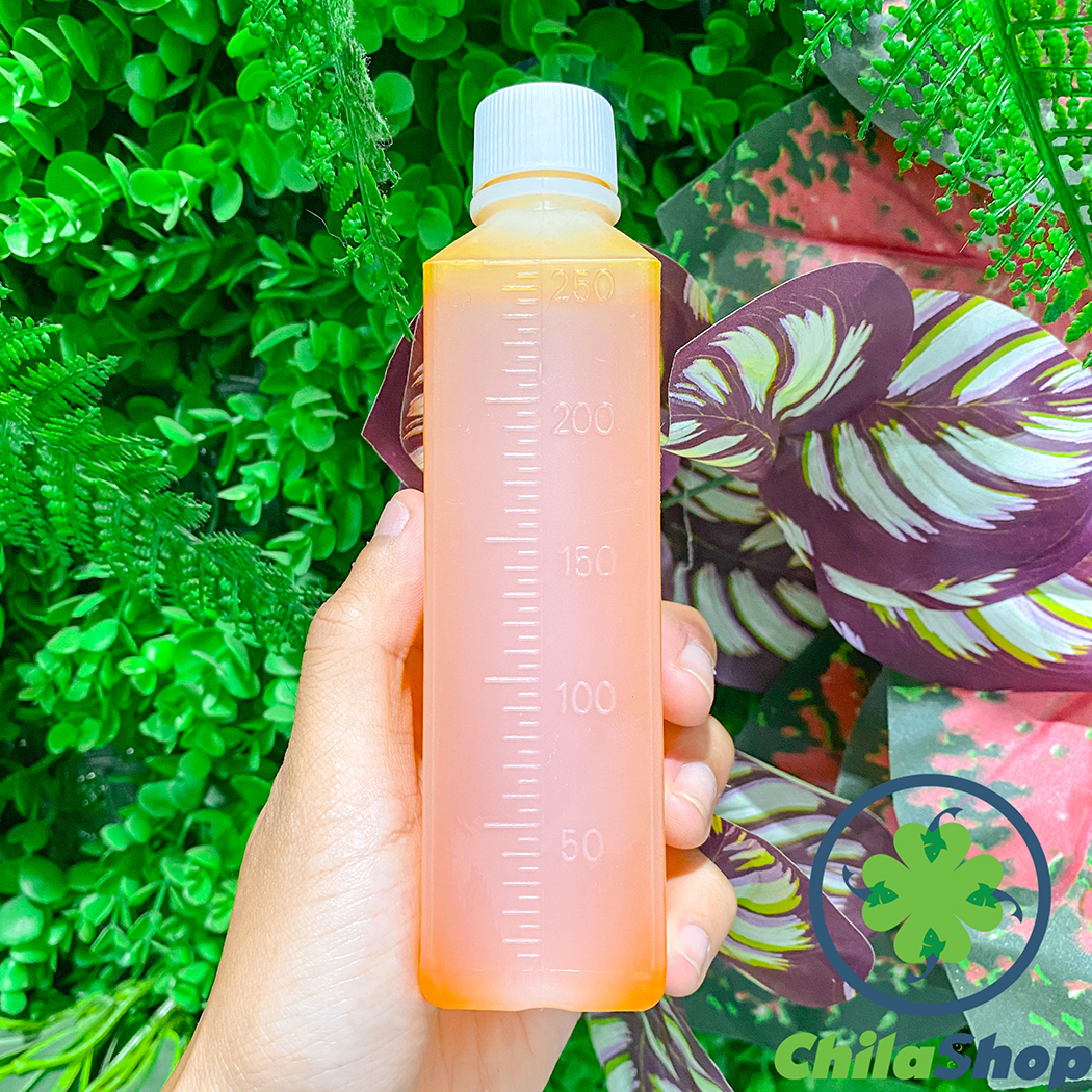 TRỨNG SỮA TRÂU ĐIÊN (CHAI - 250ML)