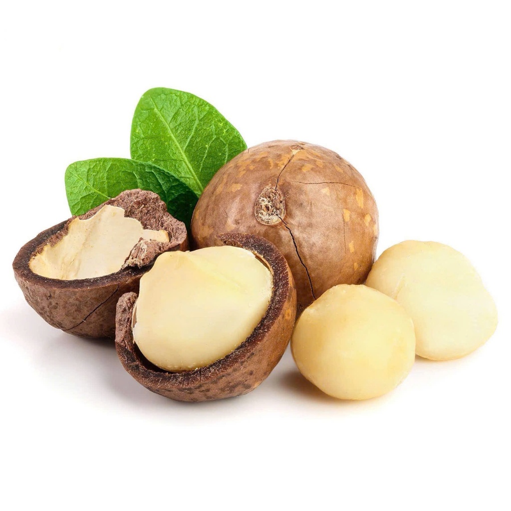Hạt Mắc Ca Ăn Liền 500g - Hạt Macca - Macadamia Nut - Ăn Vặt Denfood
