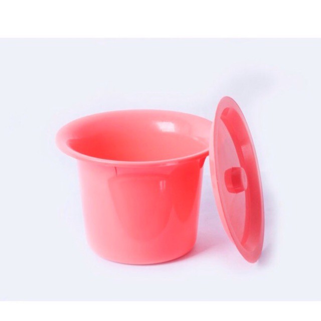 Potty toilet lid