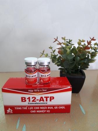 Combo 03 lọ Thuốc tăng lực cho gà đá B12 ATP