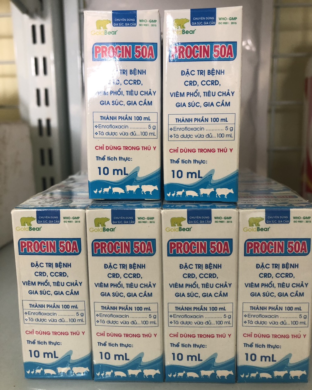 THUỐC GÀ ĐÁ - PROCIN 50 A - CTY GẤU VÀNG - COMBO 5 CHAI 10 ML