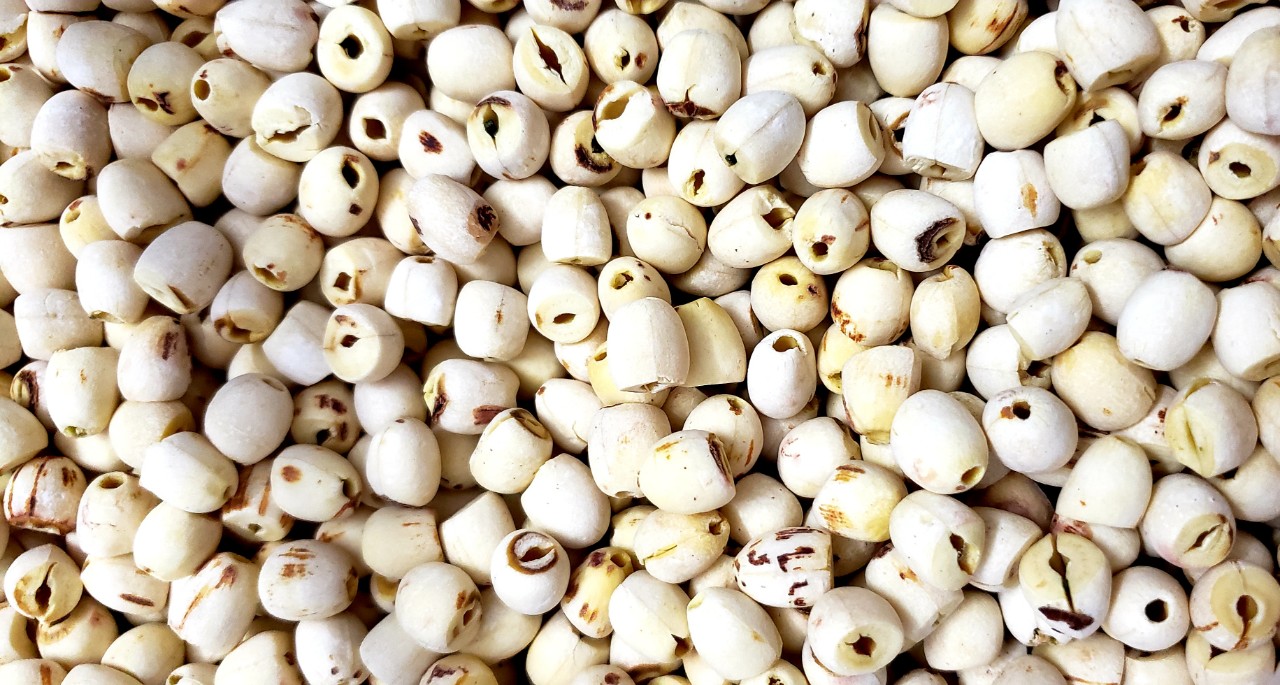 Hạt sen khô - đồng tháp - 500g