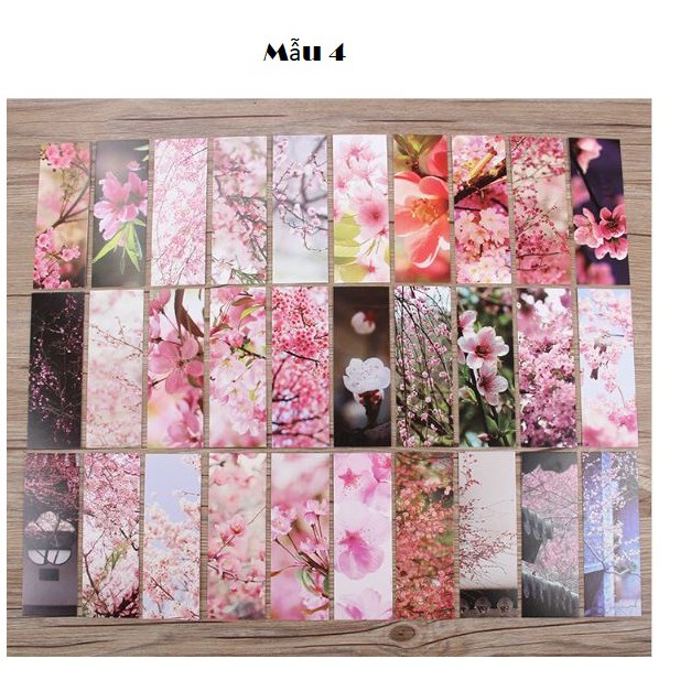 Hộp 30 Đánh Dấu Trang Sách Bookmark Cổ Phong